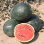 40 Seeds Genuine Heirloom Giant Baby Sweet Juicy Watermelon Fresh Seeds