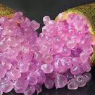 20 Seeds Rare Imported Pink Rose Bliss Finger Lime Plant Fresh Seeds