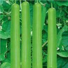 20 Seeds Green Long Club Bottle Gourd Fruit Fresh Seeds