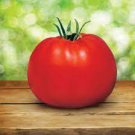 200 Seeds Park's Whopper CR Improved Tomato Fresh Seeds