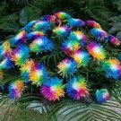 200 Seeds Rainbow Chrysanthemum Flower Bonsai Fresh Seeds