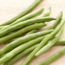 30 Seeds White Bean Heirloom Organic Vegetable Bean Garden Fresh Seeds