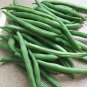 30 Seeds White Bean Heirloom Organic Vegetable Bean Garden Fresh Seeds