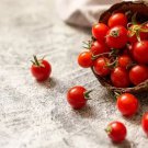 60 Seeds Heirloom Tiny Tim Dwarf Tomato Bonsai Fruits Fresh Seeds