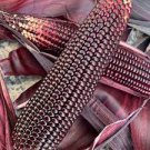 400 Seeds Giant Black Corn Glutinous Maize Hybrid High Yield Fresh Seeds