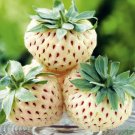 40 Seeds Strawberry Cream White Sweet Fruit Fresh Seeds