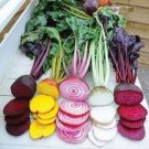 100 Seeds Beetroot Mixed Blood YellowWhite Color Vegetable Fresh Seeds