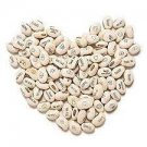 200 Seeds Lot Mini Magic White Bean for Garden or Bonsai Fresh Seeds