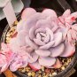 20 Seeds Echeveria Lauii Pink Succulent Lovely Plant Fresh Seeds