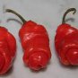 400 Seeds Peter Pepper Hot Variety Seeds for Garden Fresh Seeds