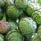 8 Seeds Green Globe Italian Artichoke for Garden Fresh Seeds