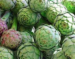 8 Seeds Green Globe Italian Artichoke for Garden Fresh Seeds