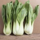 400 Seeds Pak Choi White Stem Chinese Cabbage Fresh Seeds