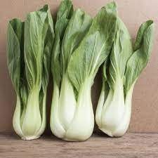 400 Seeds Pak Choi White Stem Chinese Cabbage Fresh Seeds