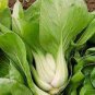 400 Seeds Pak Choi White Stem Chinese Cabbage Fresh Seeds
