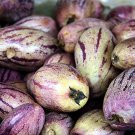 100 Seeds Solanum Muricatum Ginseng Fruit Fresh Seeds