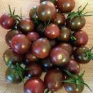 200 Seeds Chocolate Cherry Tomato Plant Fresh Seeds