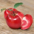 100 Seeds Redlove Apple Fruit Tree Fresh Seeds