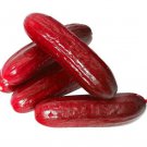 40 Seeds Red Cucumber Cucumis Sativus Plant Fresh Seeds