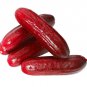 40 Seeds Red Cucumber Cucumis Sativus Plant Fresh Seeds