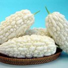 20 Seeds White Balsam Pear Fresh Seeds