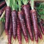 200 Seeds 'Haze' Purple Carrot Vegetable Seeds Fresh Seeds