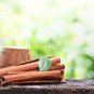 12 Seeds Green Cinnamon Tree Seeds Fresh Seeds