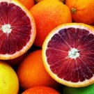 60 Seeds Rare Red Lemon Tree Fruit Seeds Fresh Seeds