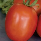 200 Seeds SuperSauce Hybrid Tomato Seeds Fresh Seeds