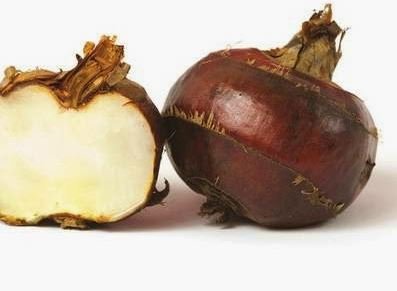 60 Seeds Chinese Water Chestnut Seeds Fresh Seeds