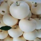 20 Seeds Big White Sweet Apple High Yield Seeds Fresh Seeds