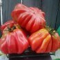 200 Seeds Tlacolula Pink Giant Tomato Seeds Fresh Seeds