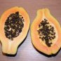 12 Seeds Guangxin Dark Green Skin Papaya Fruit Seeds Fresh Seeds