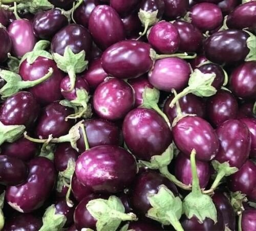 200 Seeds Thai Purple Mini Round Eggplant Seeds Fresh Seeds