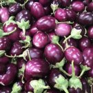 200 Seeds Thai Purple Mini Round Eggplant Seeds Fresh Seeds