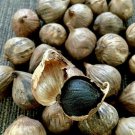 200 Seeds Black Garlic Plant Seeds Fresh Seeds