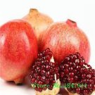 40 Seeds Giant Pomegranate Fruit Seeds Fresh Seeds
