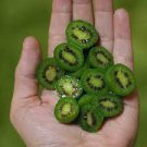 60 Seeds Cocktail Miniature Kiwi Kiwiberry Fruit Seeds Fresh Seeds