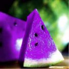 40 Seeds New Purple Watermelon Fruit Seeds Fresh Seeds