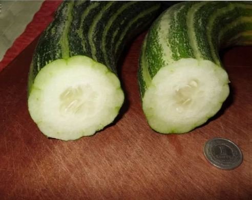 100 Seeds Cucumber Armenia Vegetable Seeds Fresh Seeds