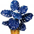 100 Seeds Rare Mixed Turtle Leaves Monstera Potted Plant Seeds Fresh Seeds