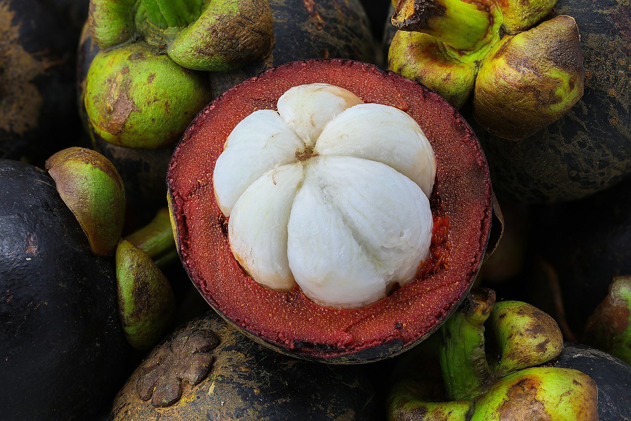 100 Seeds Mangosteen Tropical Sour Sweet Fruit Seeds Fresh Seeds