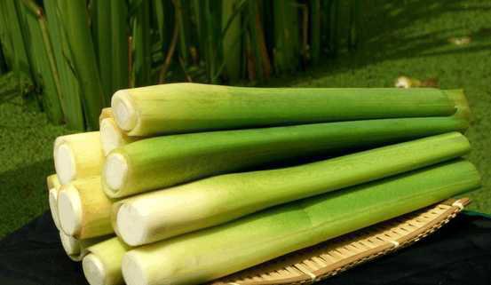 200 Seeds Zizania Latifolia Aquatic Vegetable Plant Seeds Fresh Seeds