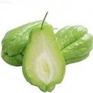 60 Seeds Bonsai Chayote Seeds Outdoor Planting Fresh Seeds