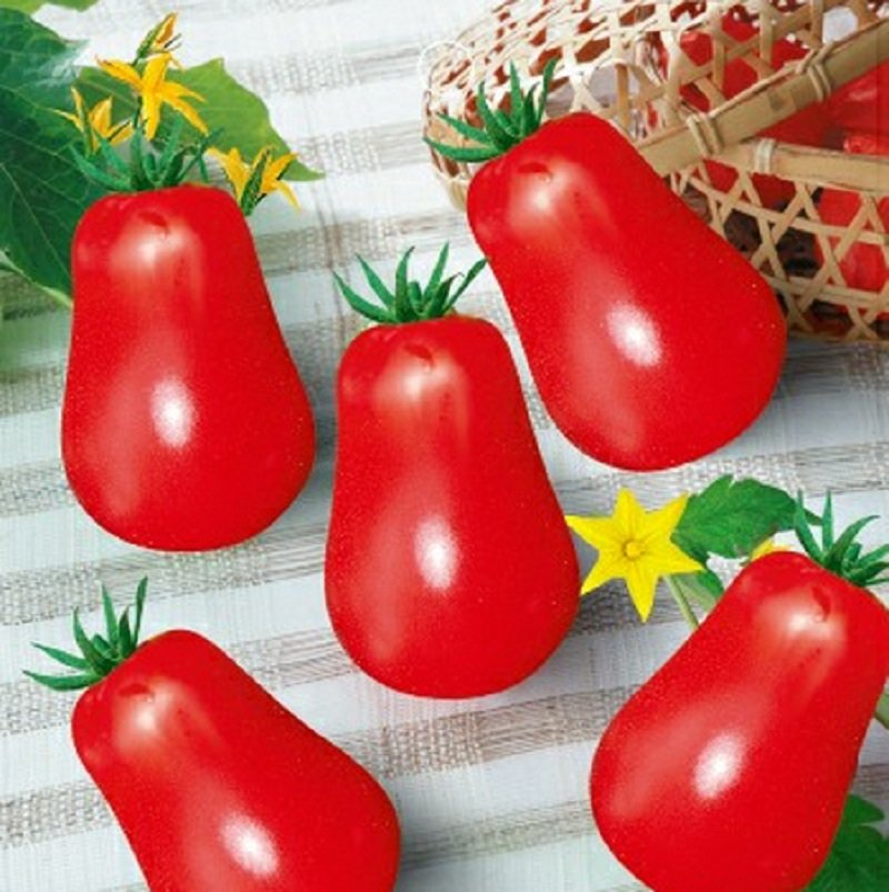 20 Red Roma Cherry Tomato Seeds Edible Organic Fruits Fresh Seeds