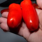 200 Seeds Rare Auria Adam Tomato Hybrid