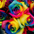 100 Seeds Rare 'Outer Space' Rose Shrub Flower