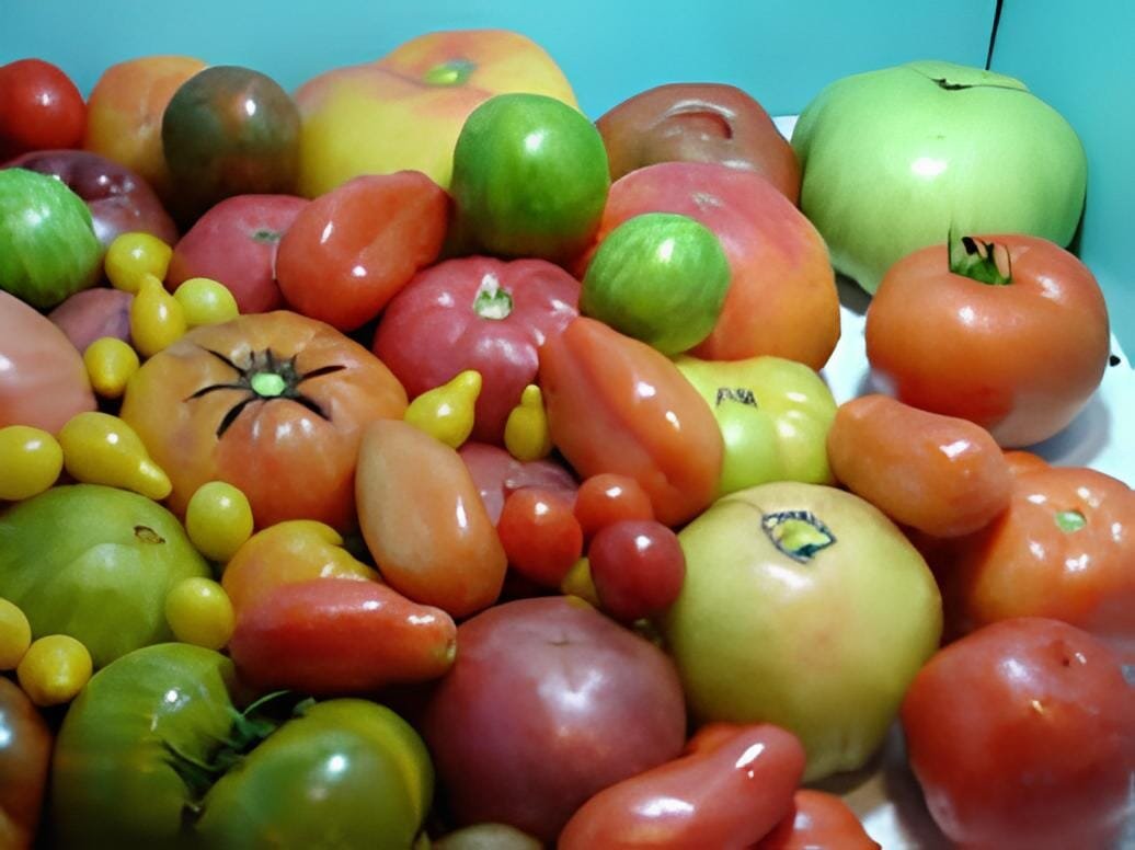 200 Seeds Super Surprise Mix Tomato
