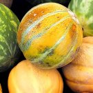 200 Seeds Heirloom Glutinous Very Sweet Muskmelon Melon Fruit