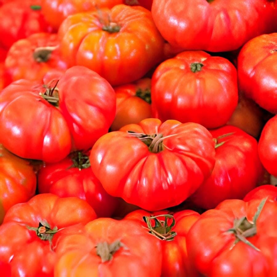 40 seeds Heirloom 'Summer Pink' Big Truss Tomato